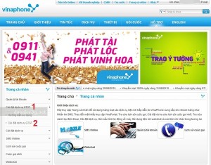 Kiểm tra dịch vụ Vinaphone đang sử dụng