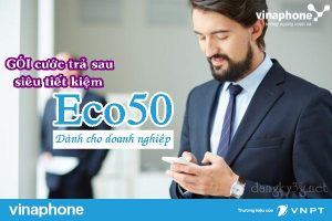 goi eco50 vinaphone