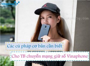 Các gói cước cơ bản cho thuê bao chuyển mạng giữ số Vinaphone