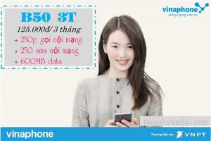 Gói khuyến mãi B50 3T mạng Vinaphone