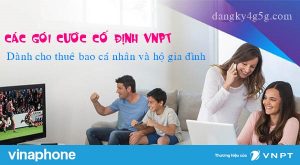 Các gói cước Cố định VNPT cho khách hàng Cá nhân và Hộ gia đình