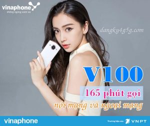 Đăng ký gói V100 Vinaphone