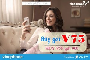 Huy-goi-V75-mang-Vinaphone