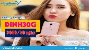 Goi cuoc D30G mang Vinaphone