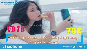 goi cuoc VD79 mang Vinaphone