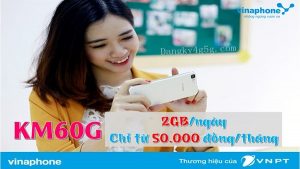 goi cuoc KM60G Vinaphone