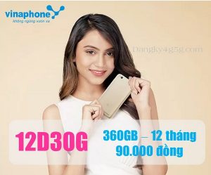 goi cuoc 12D30G Vinaphone