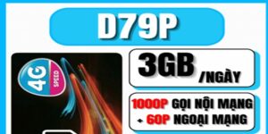 dang-ky-goi-cuoc-d79p-vinaphone
