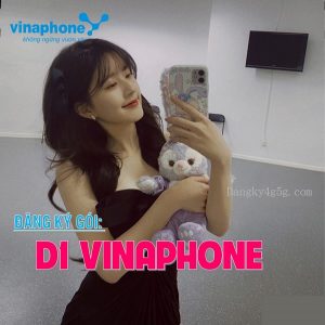 Gói cước D1 Vinaphone