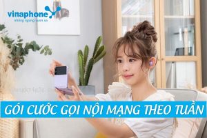 Gói cước gọi nội mạng Vinaphone theo tuần
